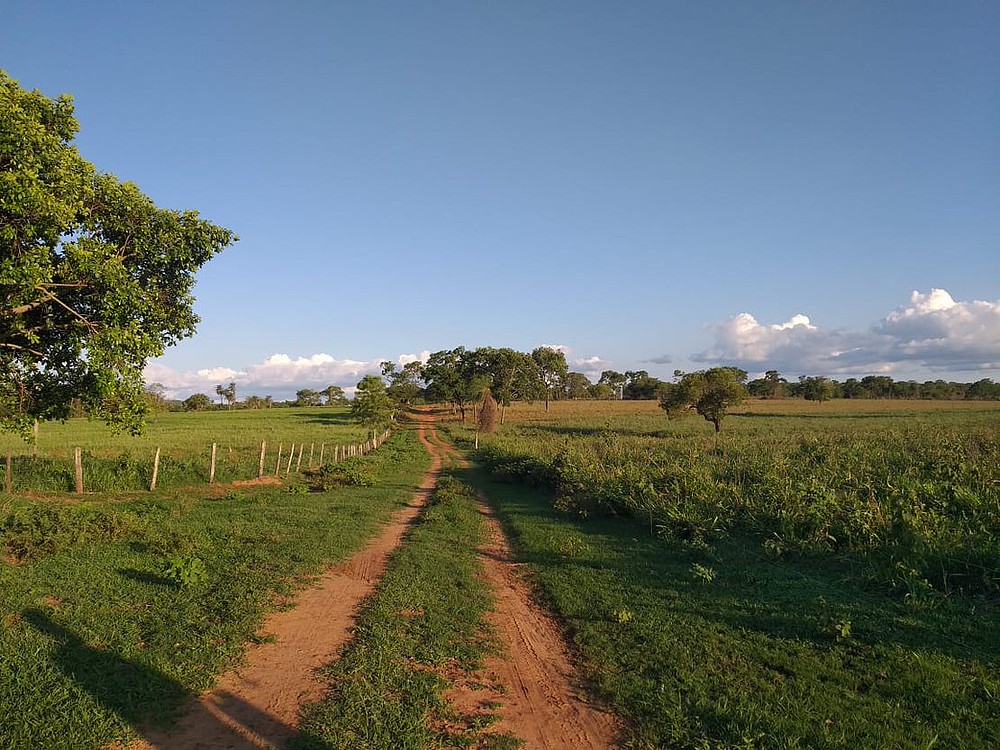 Pecuaristas se unem a ONG para preservar Pantanal