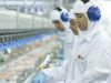 BRF foods vai contratar
