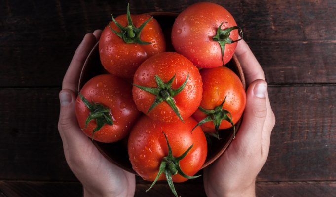 SINDIVEG-O-tomate-altamente-consumido-no-Brasil-pode-ter-explosao-de-precos-com-reducao-do-volume-producao