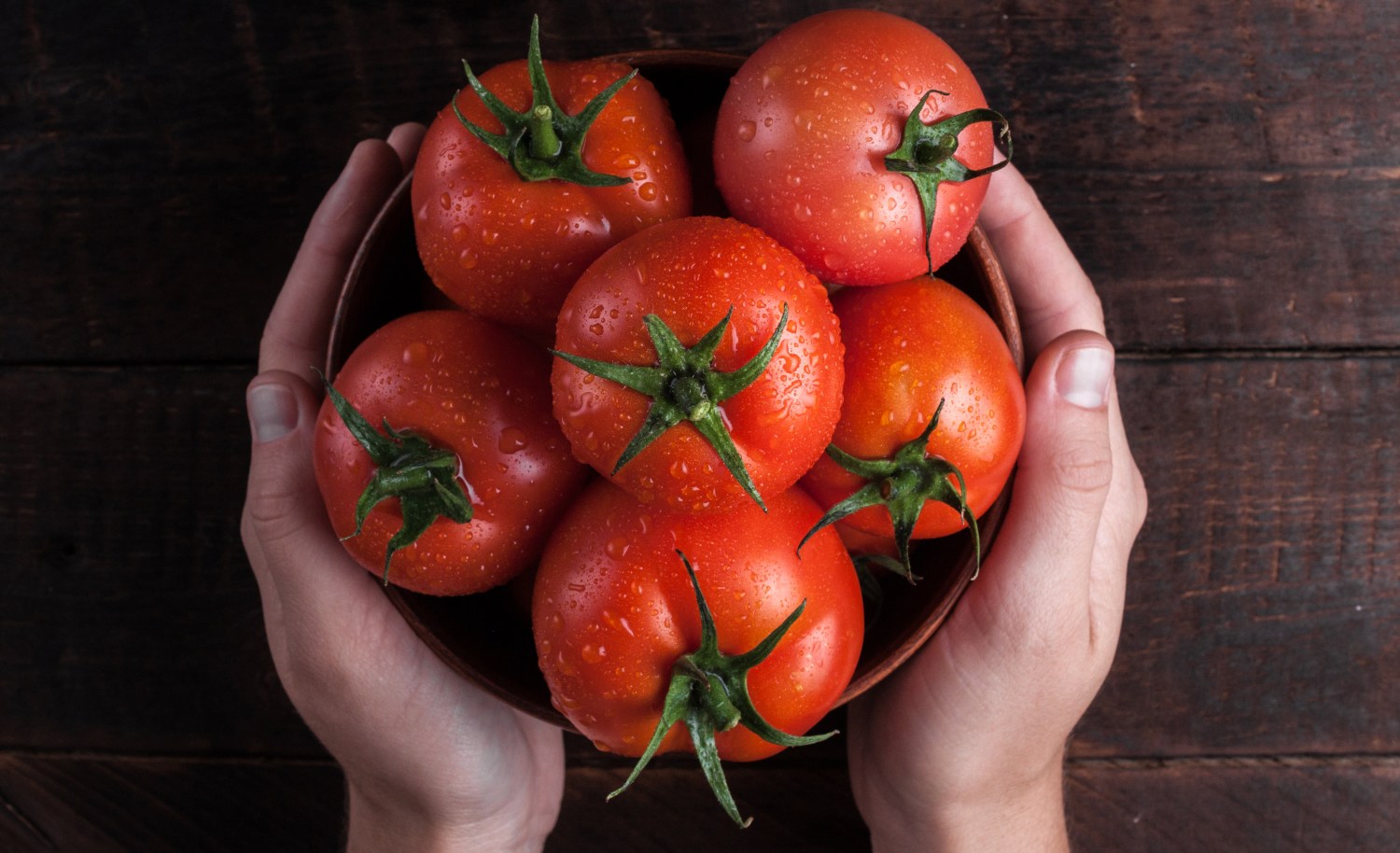 SINDIVEG-O-tomate-altamente-consumido-no-Brasil-pode-ter-explosao-de-precos-com-reducao-do-volume-producao