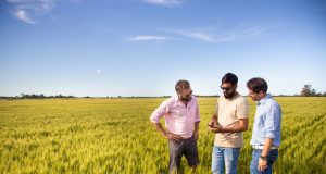 Agricultura do futuro será com Big Data e Data Science