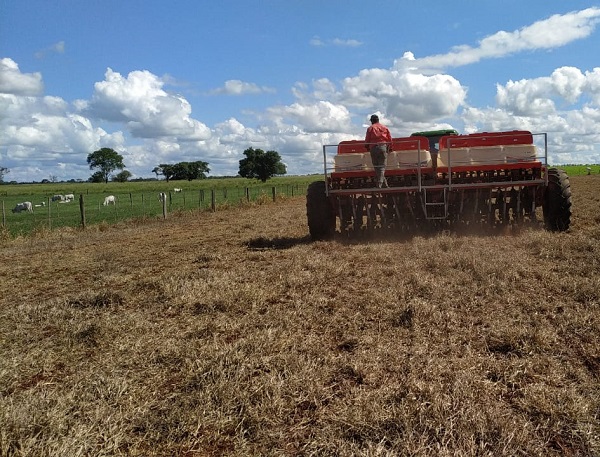 Fazenda Campina é Unidade de Referência Tecnológica de Integração Lavoura-Pecuária; caso de sucesso em solos arenosos é retratado em publicação