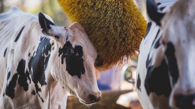 descalvado_fazenda_1024x576_09122020151727