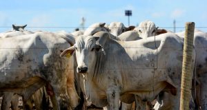 Confinamento, Semiconfinamento ou TIP
