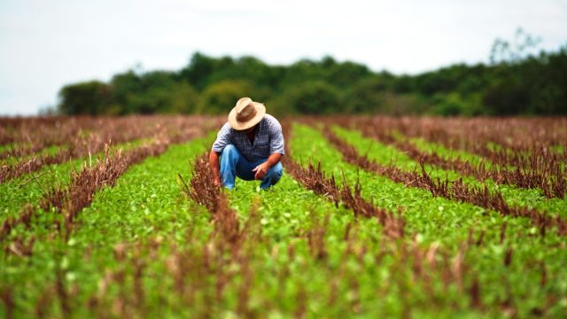produtor_rural