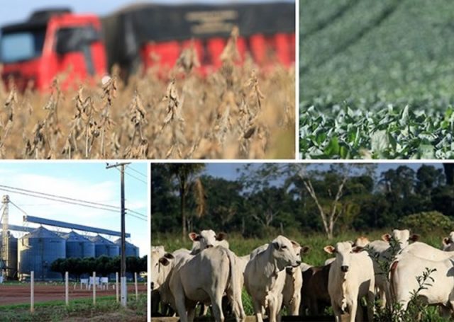 taxação do agro
