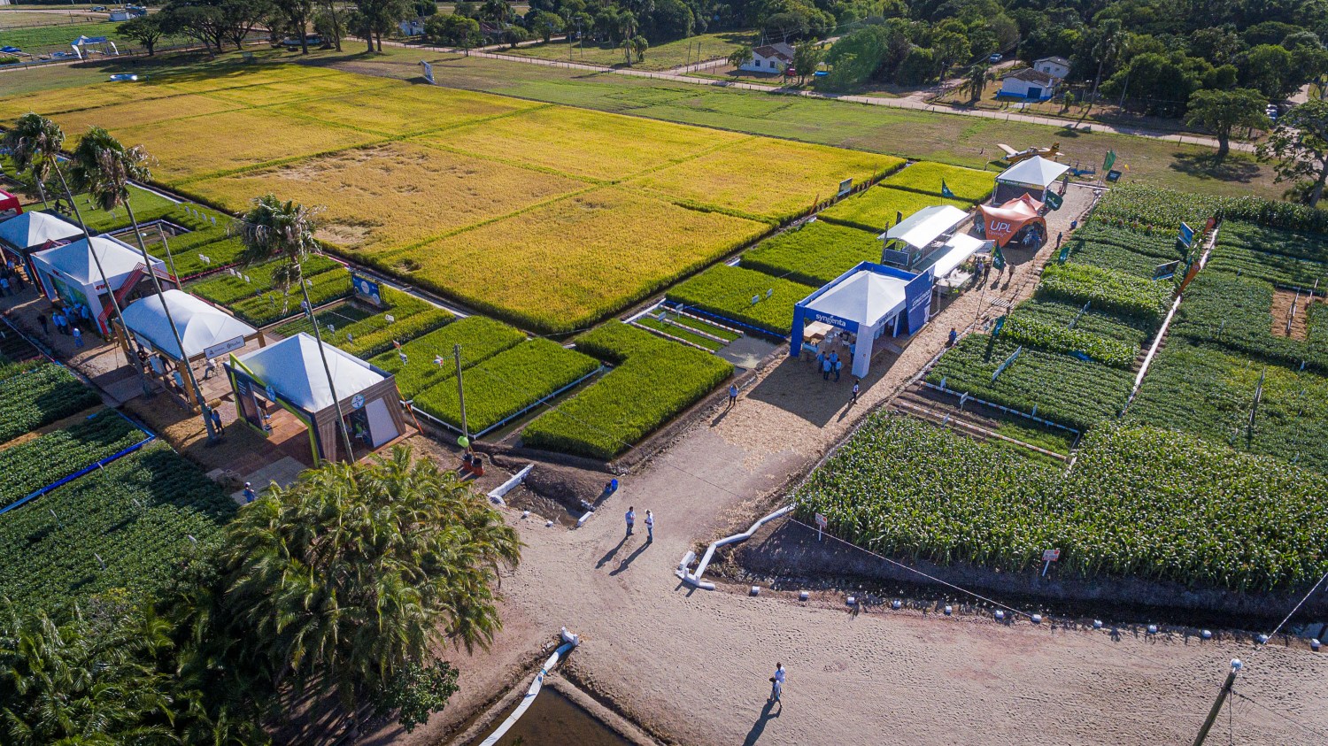 Área Abertura da Colheita do Arroz - Crédito Fagner Almeida Divulgação