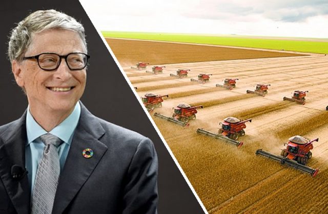 Bill Gates agricultura