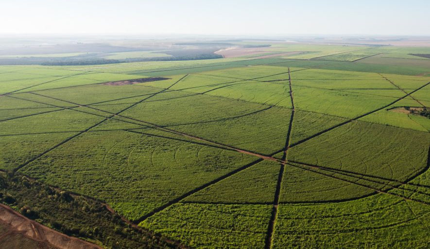 Drones pulverizadores revolucionam agricultura ao reduzir custos na aplicação de insumos em até 50