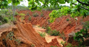 Erosão hídrica- Estudo mostra solos mais frágeis do Brasil