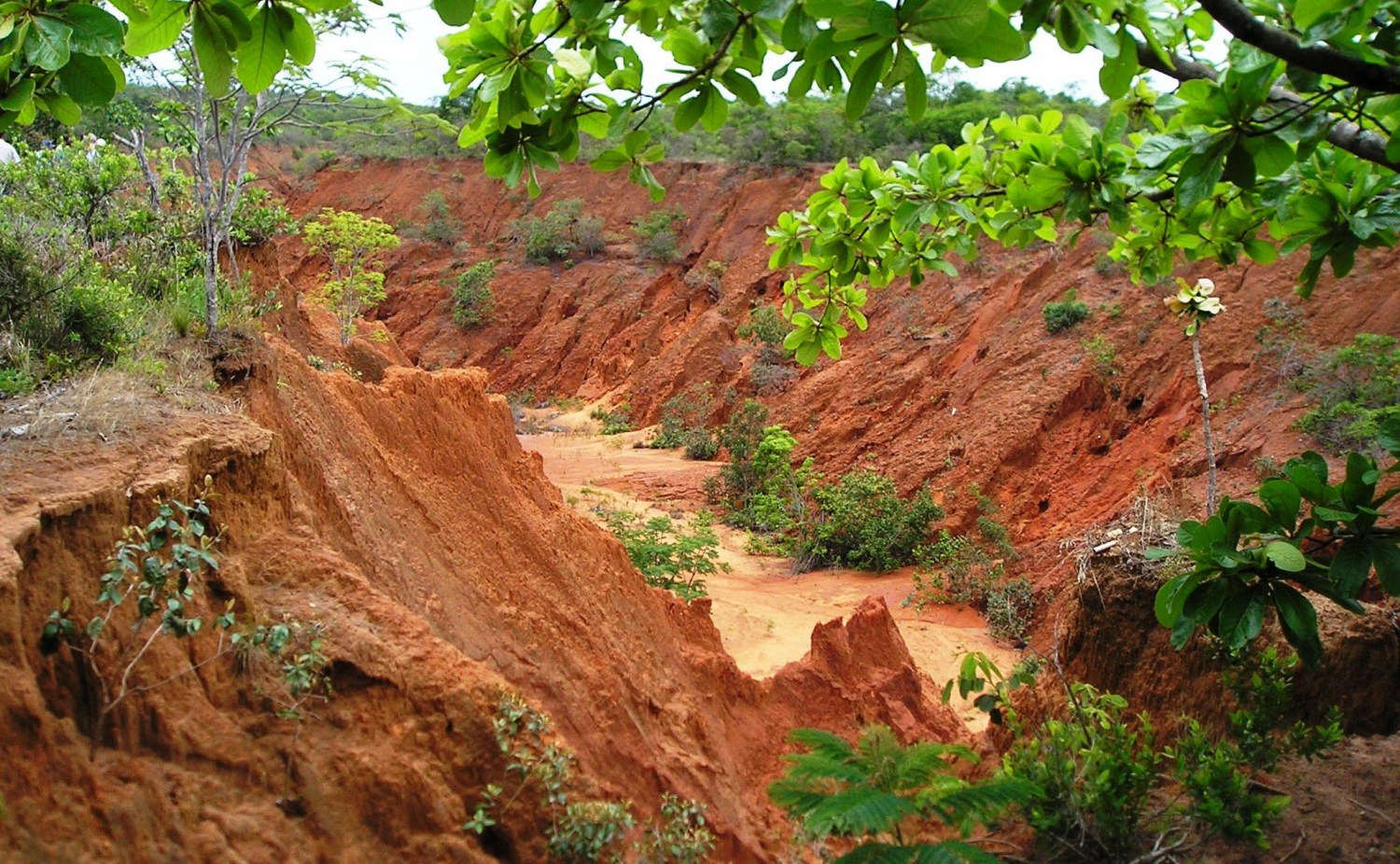 Erosão hídrica- Estudo mostra solos mais frágeis do Brasil