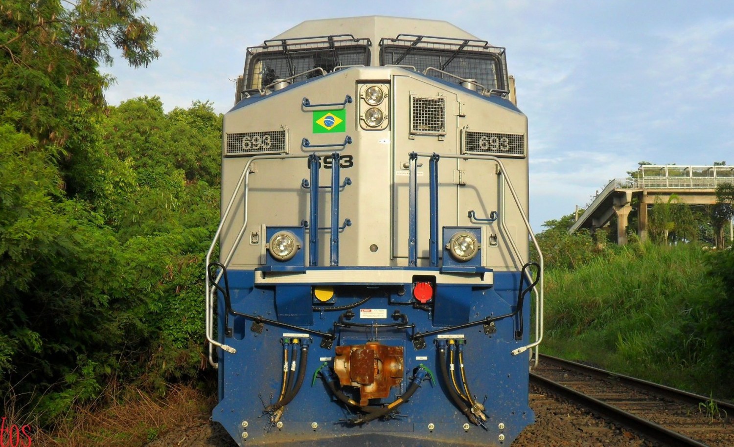 Ferroeste será novo salto logístico para o agro brasileiro