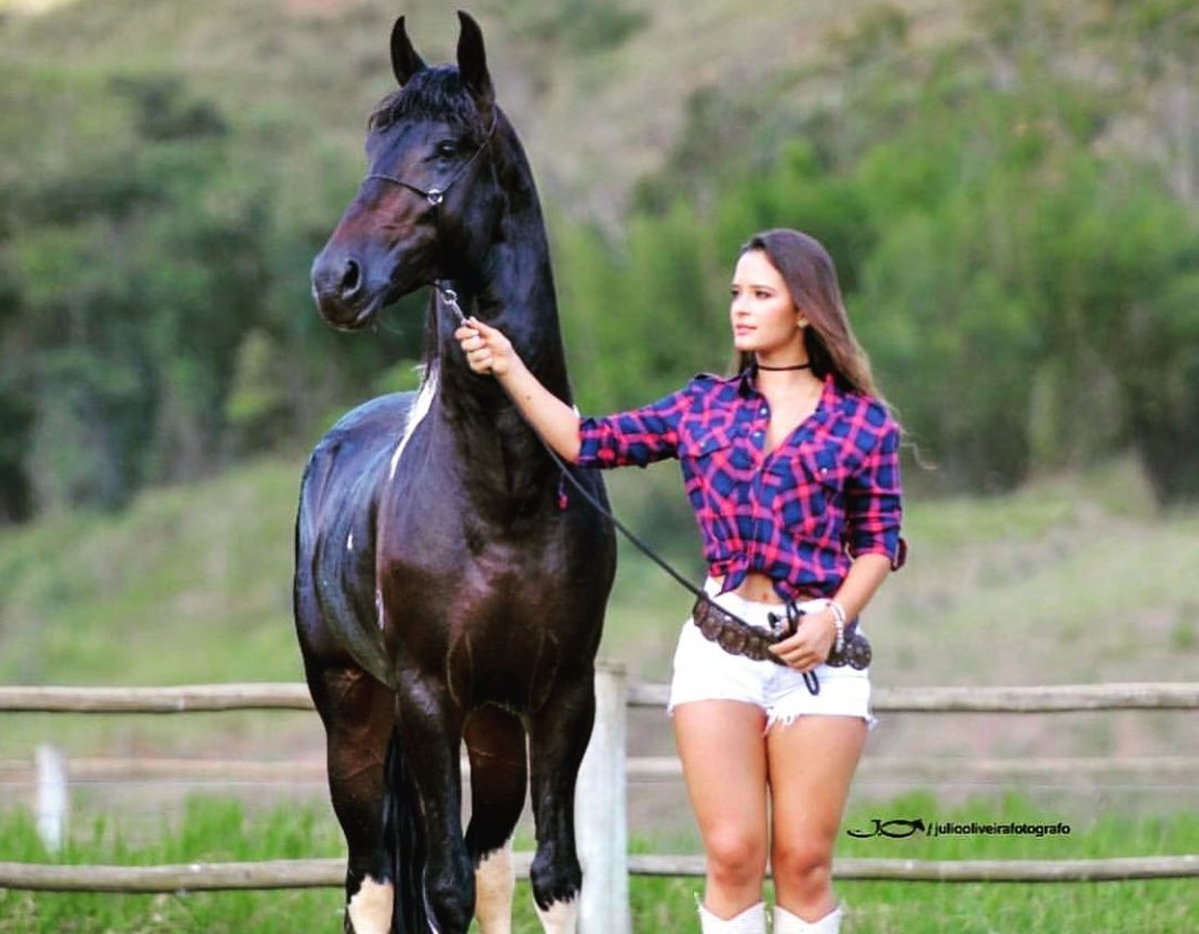 Os Cascos De Pá De Um Cavalo Sobre Um Obstáculo. O Cavalo Supera