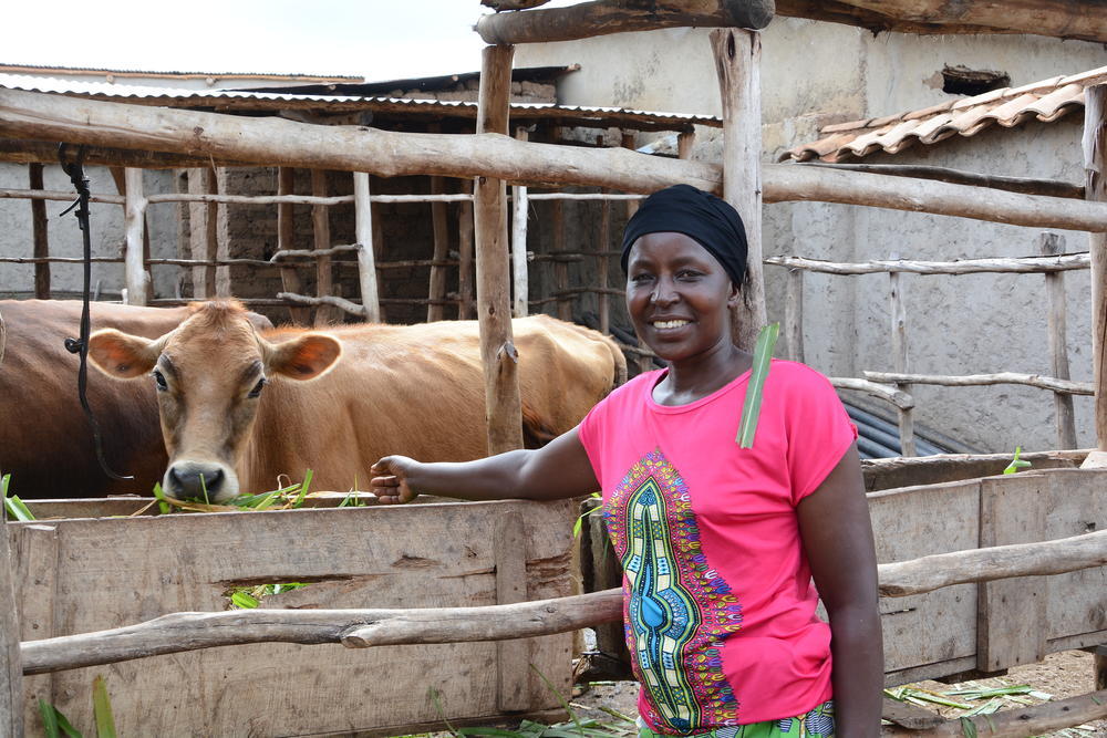 Pecuária está ajudando a acabar com a fome e a miséria na África