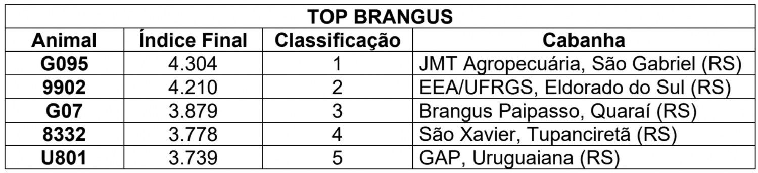 Prova Top Brangus avalia Eficiência Alimentar de animais no Sul - ranking