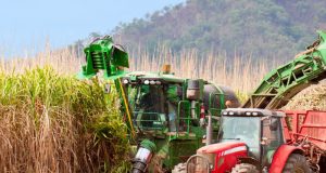 Quatro dicas para aumentar a produtividade na colheita mecanizada