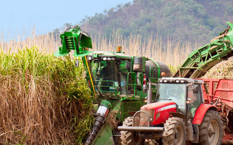 Quatro dicas para aumentar a produtividade na colheita mecanizada