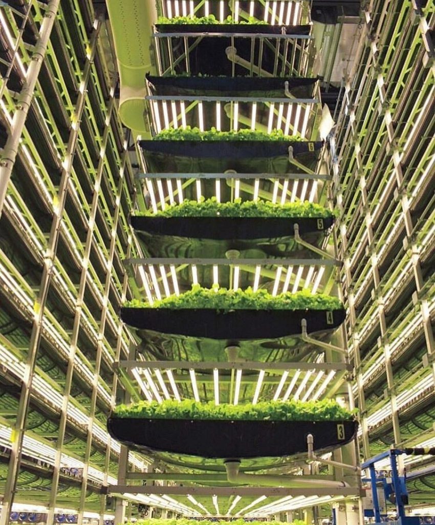 fazenda-aeropônica