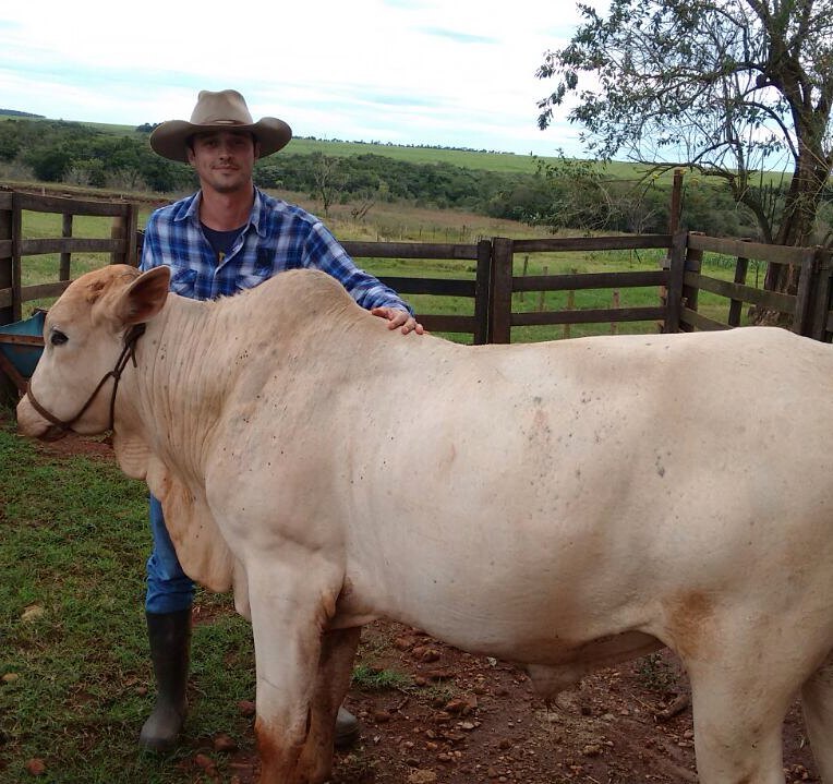 fael cordeiro - fazenda no mato grosso do sul