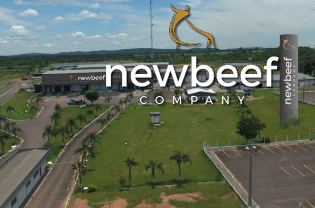 new-beef company