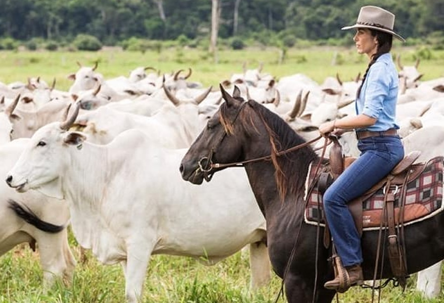 pecuarista carmen perez