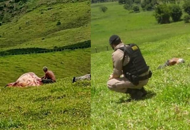 policia mata ladrão de gado