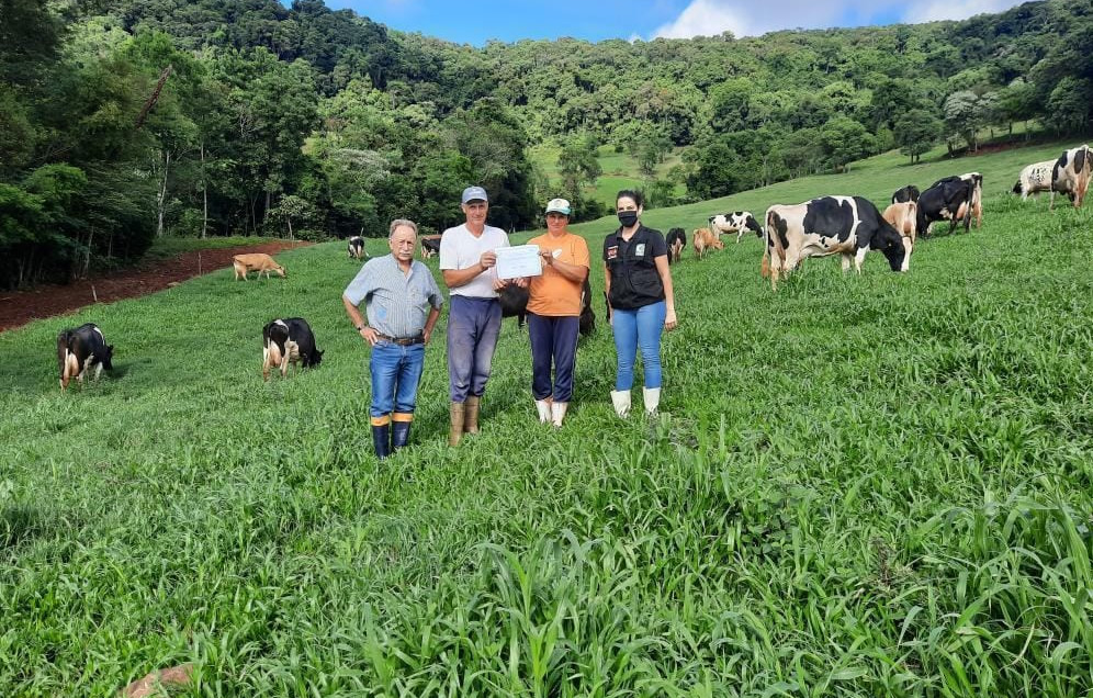 produtores rurais em santa catarina brucelose vacas leiteiras