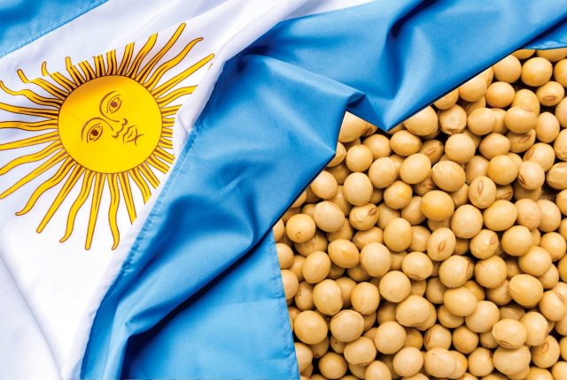 soja-argentina