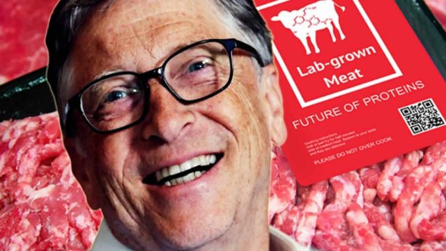 Bill-Gates-Paises-ricos-deveriam-comer-carne-100-sintetica