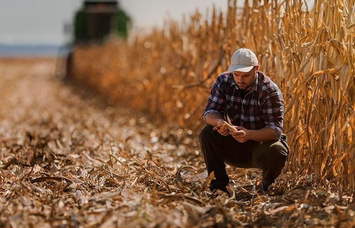 Contrato de arrendamento x parceria rural – veja as diferenças