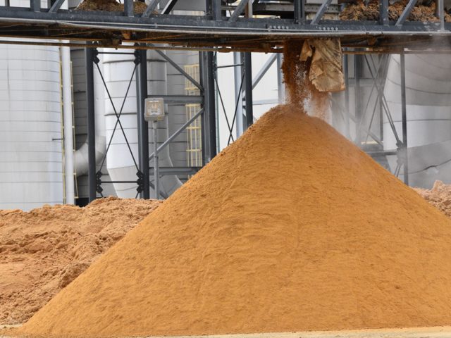 DDGs_wetcake_distillers_grains DDGs_wetcake_distillers_grains