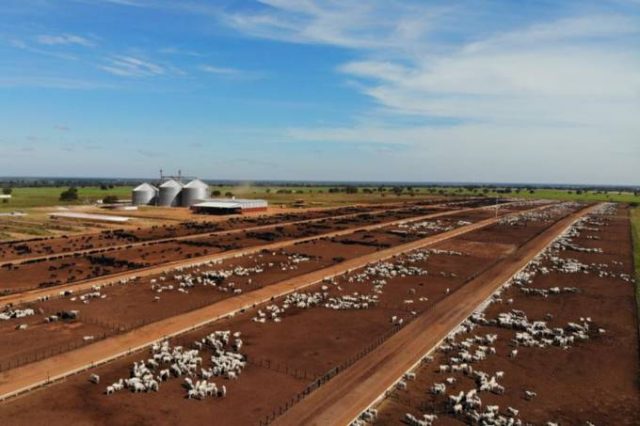 Fazenda-Nova-Piratininga1