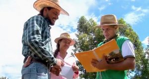 Pecuaristas mineiros ampliam em seis vezes produção leiteira