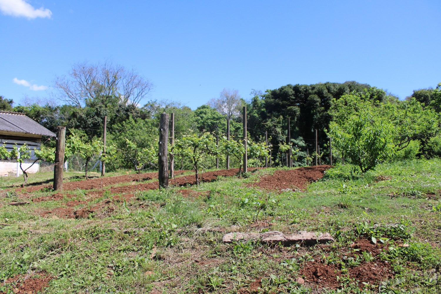 Propriedade Rural - Crédito Rejane Costa