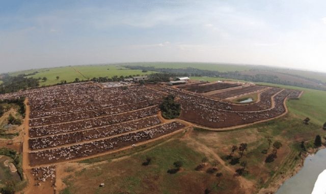 Santa-Rosa-Farm-Campanelli-feedlot-located-in-Altair