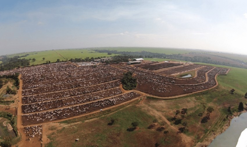 Santa Rosa Farm Campanelli feedlot located in Altair