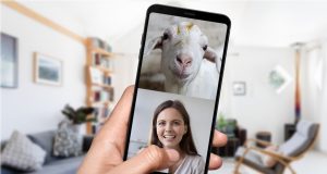 cabras usadas em videoconferencias