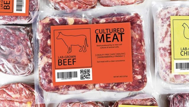 carne de laboratório
