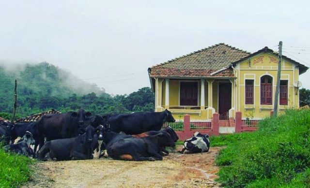 casa na roça