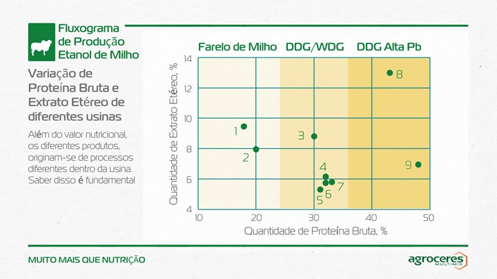 comparacao de proteina de milho e ddg