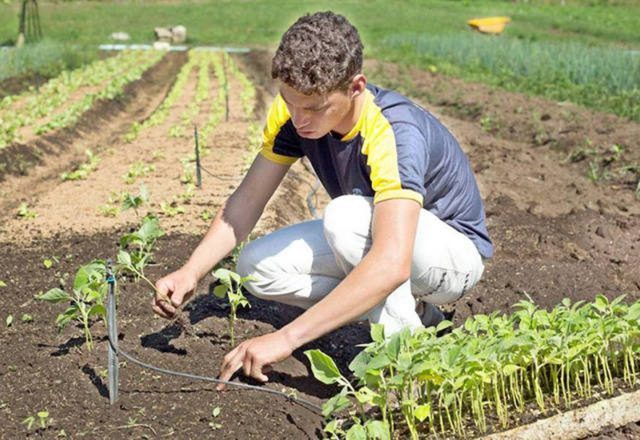 filho de produtor rural podera comprar terra
