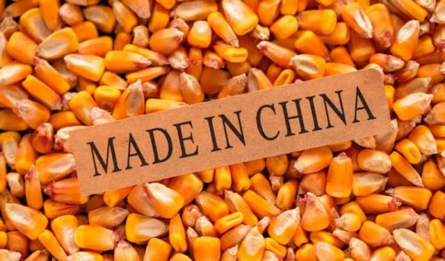 milho na china - made in china milho na china - made in china