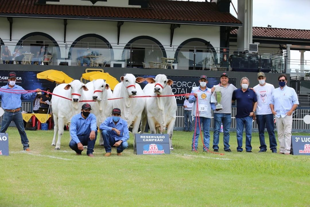 Reservada Campeã Progênie de Pai Expoinel Minas 2021 - Landau da Di Gênio