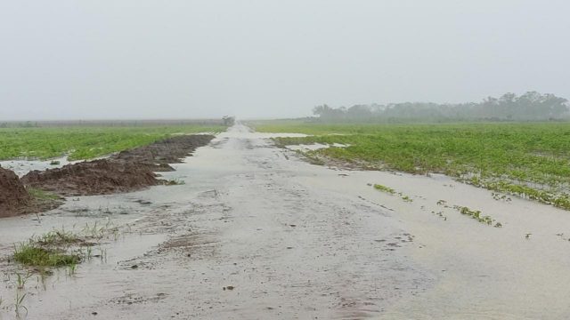 perdas de lavouras no tocantins pela chuva perdas de lavouras no tocantins pela chuva