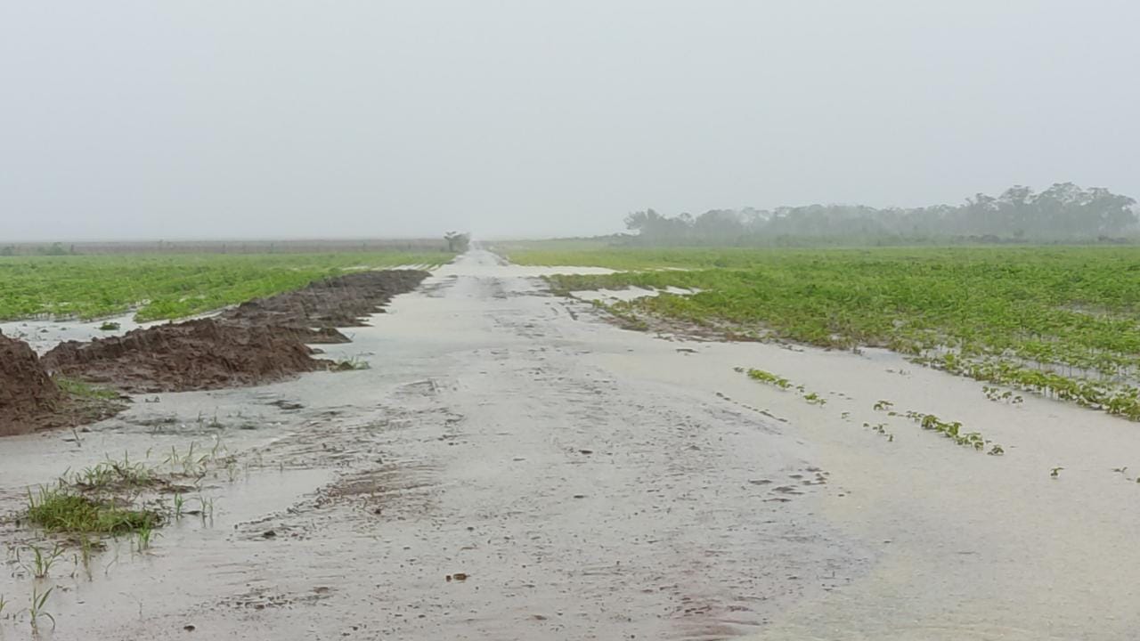 perdas de lavouras no tocantins pela chuva