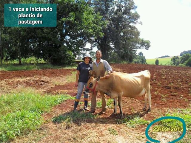 A implantação da pastagem foi o primeiro passo dado pelo casal na propriedade em Xanxerê. Foto: Arquivo da família