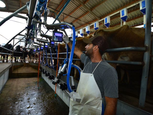 Ambiente é equipado com sistema de extração de ordenha e medição de leite. Foto: Aires Mariga