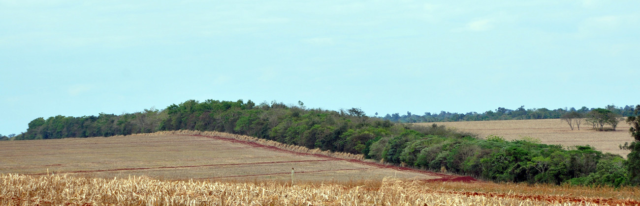 corredor ecológico existente na região da Tríplice Fronteira Brasil-Paraguai-Argentina