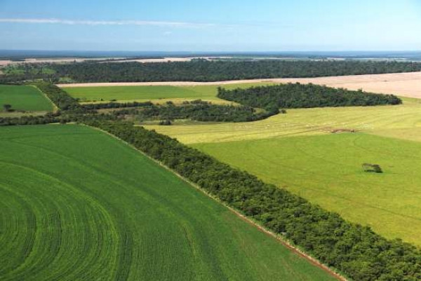 corredor ecológico existente na região da Tríplice Fronteira Brasil-Paraguai-Argentina