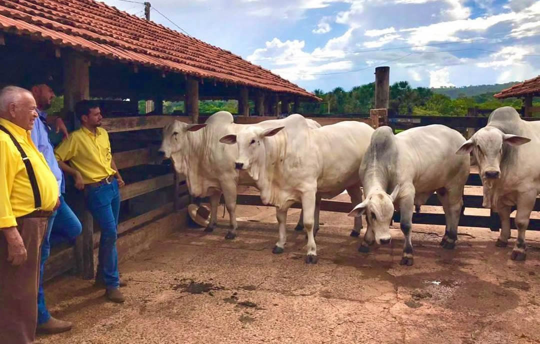 Final de semana de trabalho na Fazenda Angico